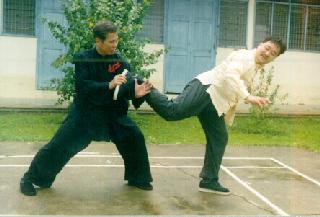 Li technique of Taijiquan