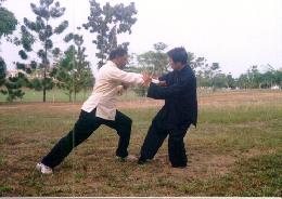 Taijiquan combat