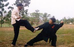 Taijiquan combat