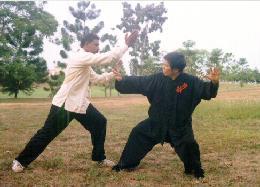 Taijiquan combat