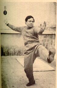 Sifu Chen Tin Hung