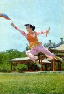 modern wushu