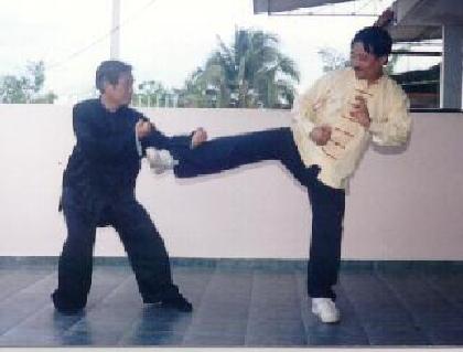 Taijiquan and Shaolin Kungfu