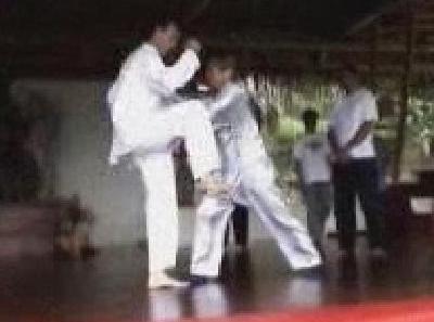 Taijiquan and Shaolin Kungfu