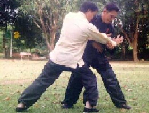 Taijiquan and Shaolin Kungfu