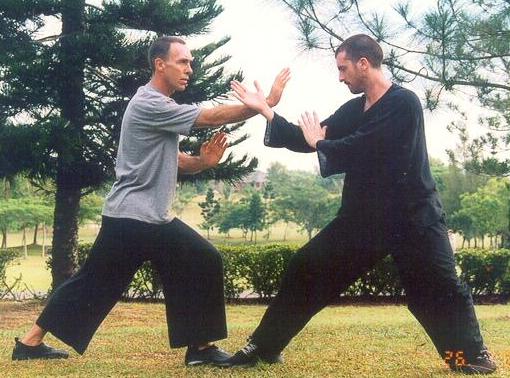 Taijiquan and Shaolin Kungfu