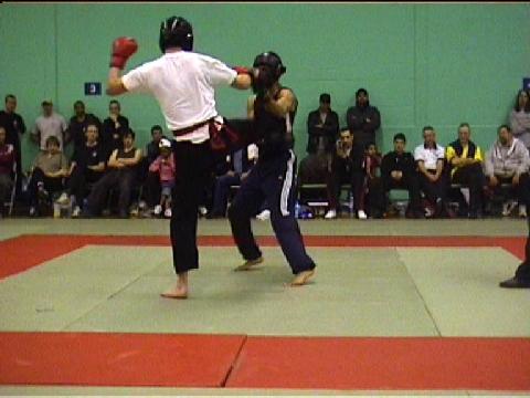 Cross-Hand Thrust Kick