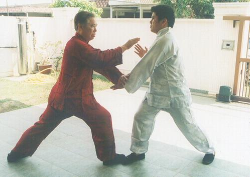 Taijiquan combat application