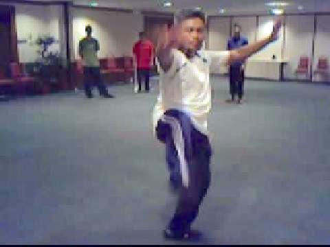 Wahnam Taijiquan