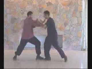 Taijiquan combat sequences