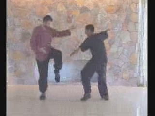 Taijiquan combat application