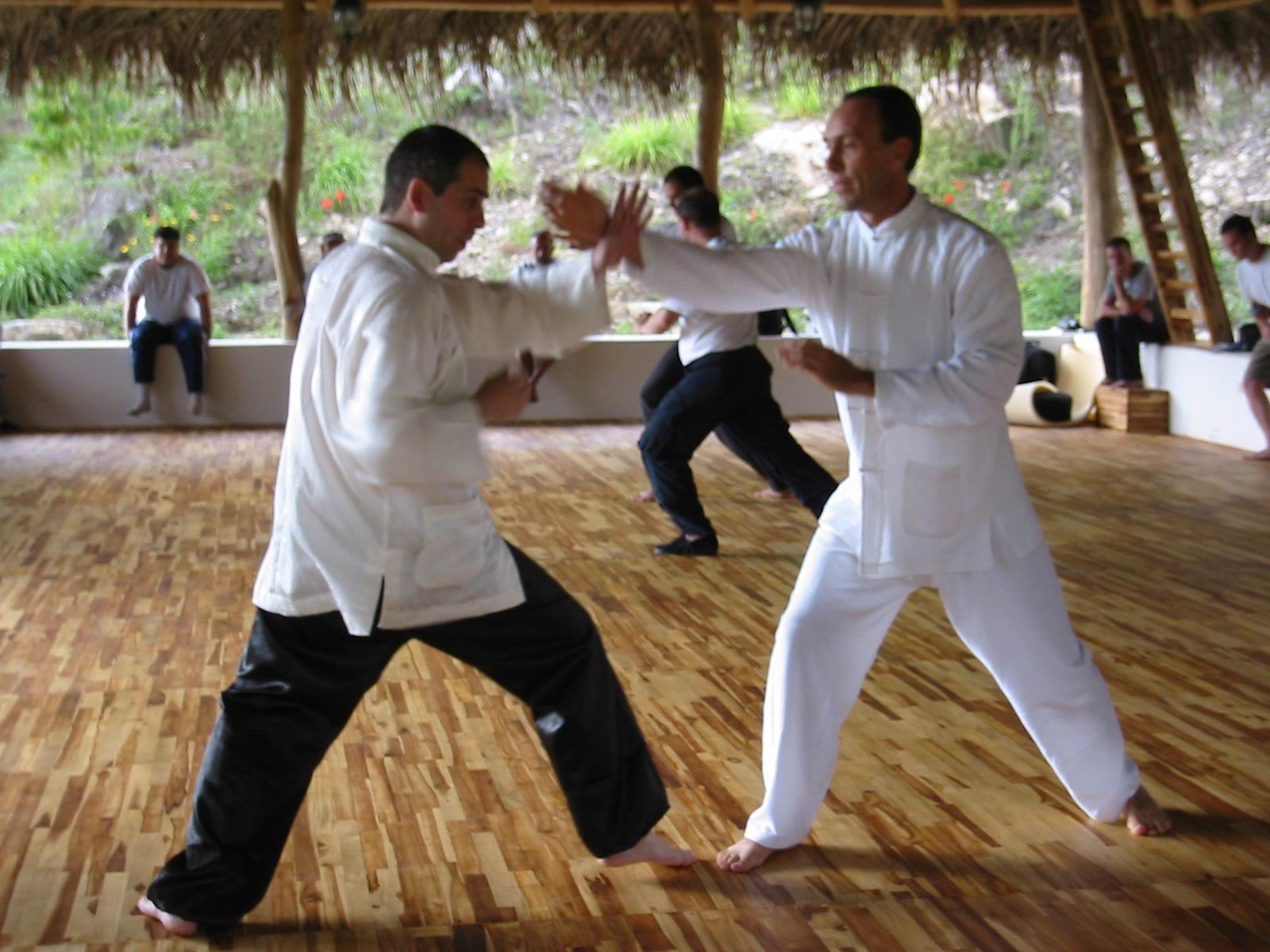 ”Taijiquan