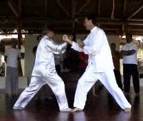 Taijiquan Striking Hands