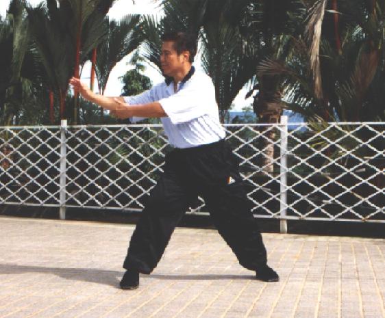 Tai Chi Chuan, Taijiquan