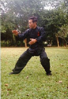 Tai Chi Chuan, Taijiquan