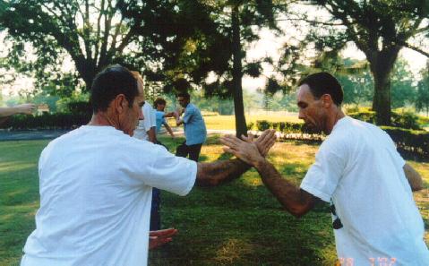 Taijiquan Tai Chi Chuan Pushing Hands