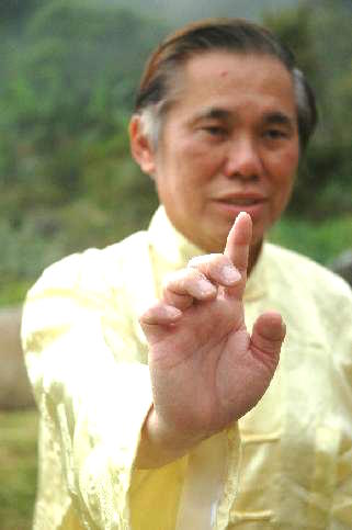 Shaolin Kung Fu