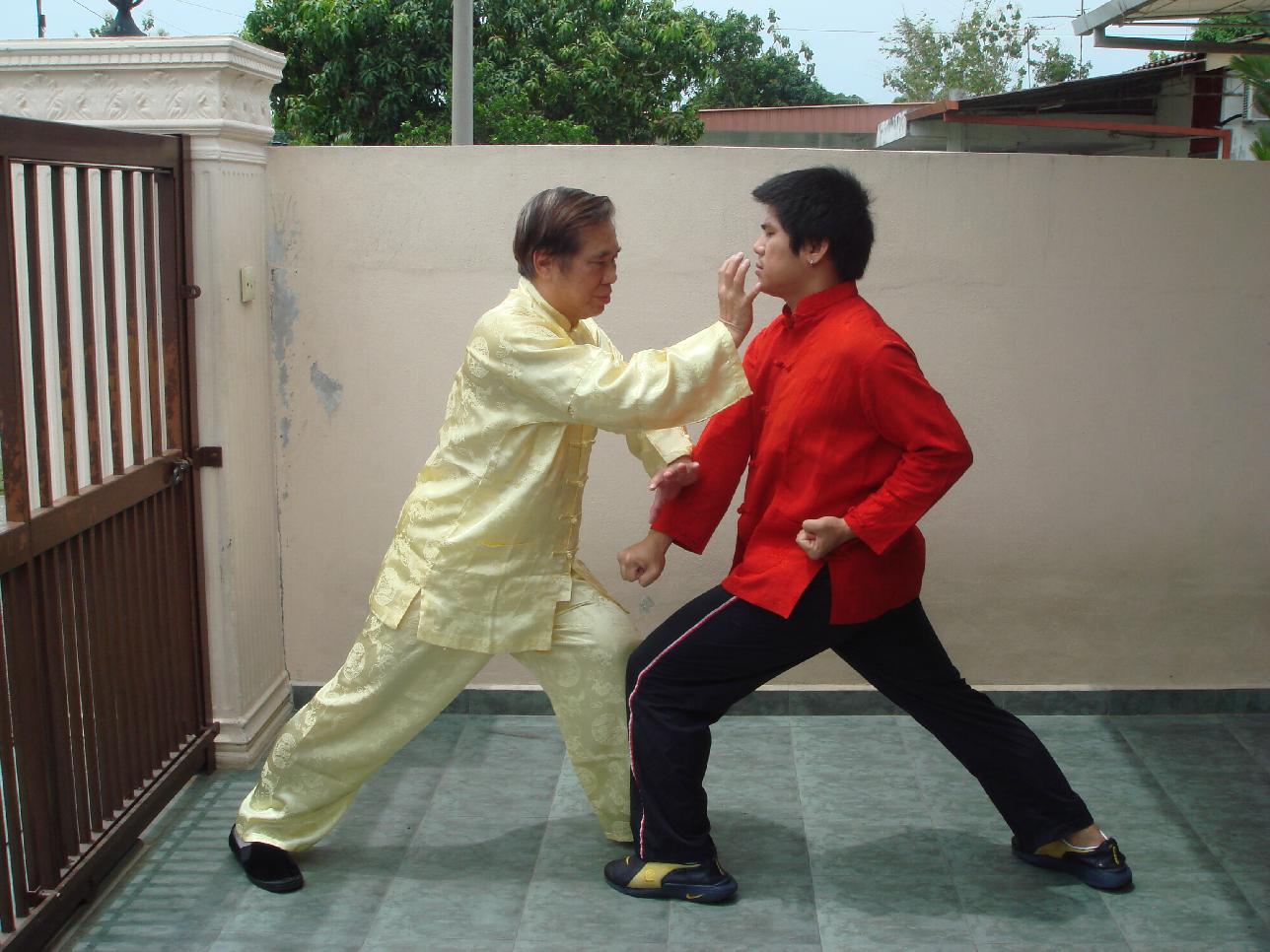 Shaolin Kung Fu