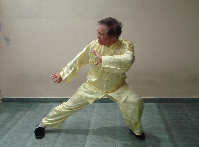 Shaolin Kung Fu