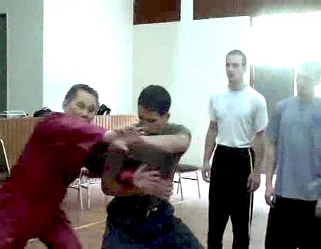 Wahnam Taijiquan