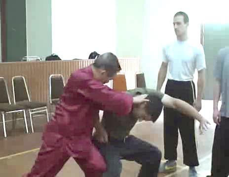 Wahnam Taijiquan