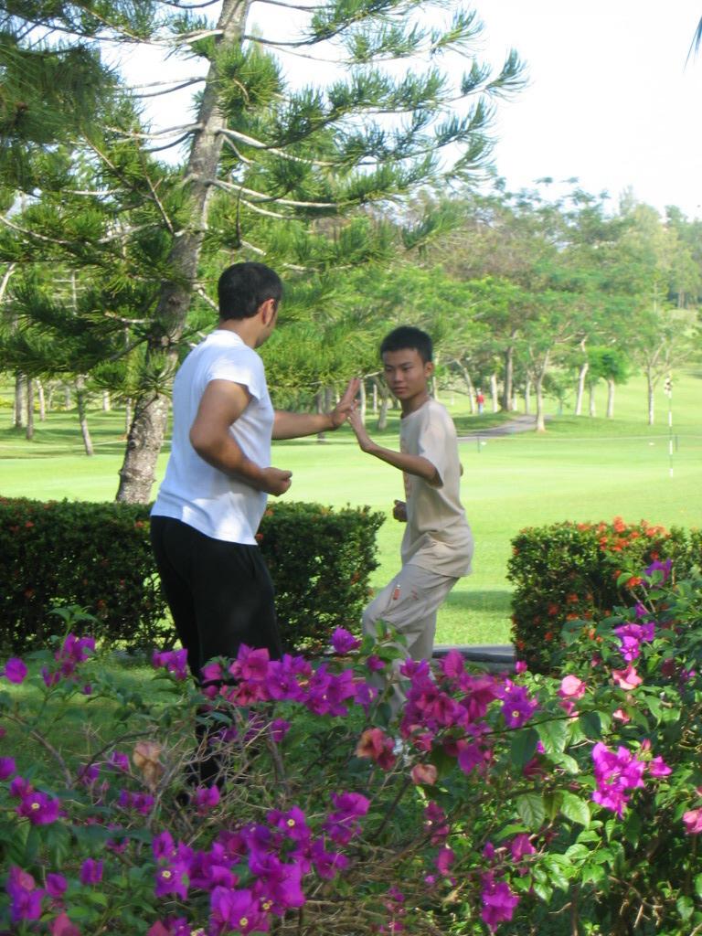 kungfu sparring