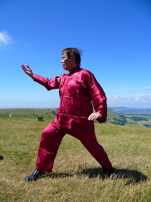 Tai Chi Chuan, Taijiquan