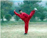 Chuo Jiao Kungfu