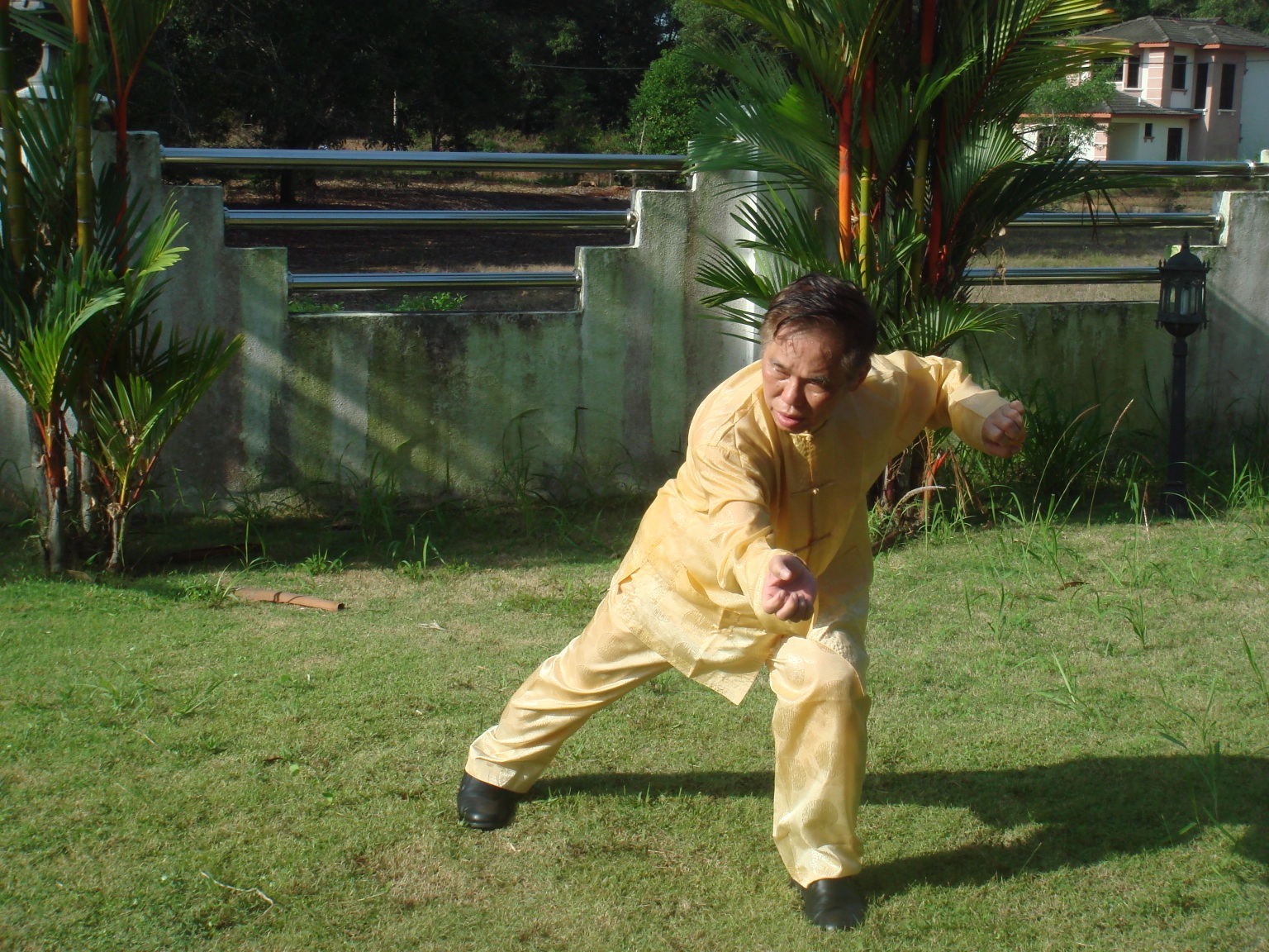 shaolin kung fu