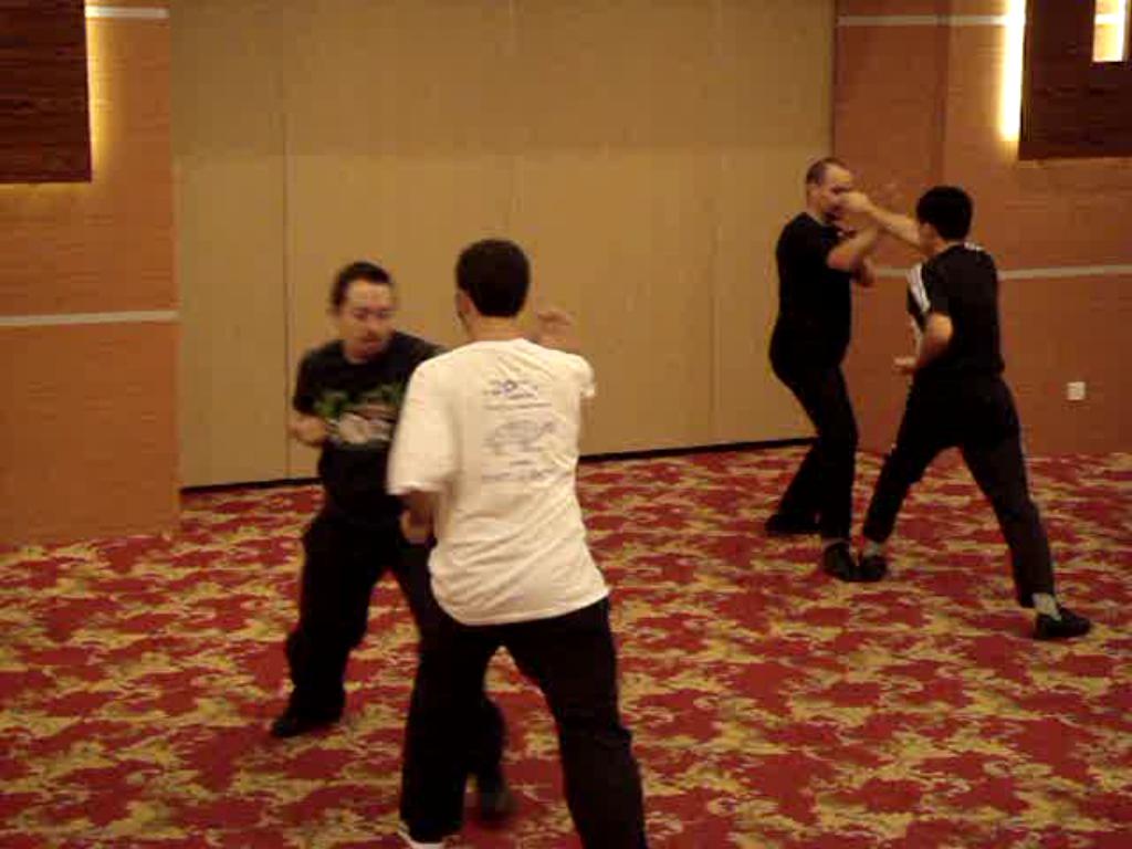 Kungfu Combat