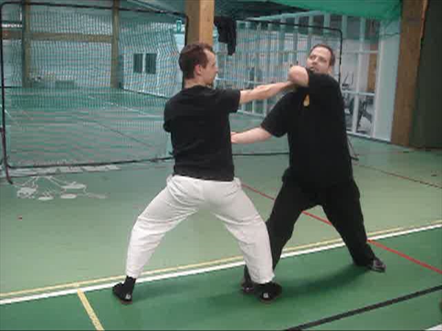 Shaolin Kung fu