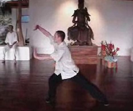 Wahnam Taijiquan