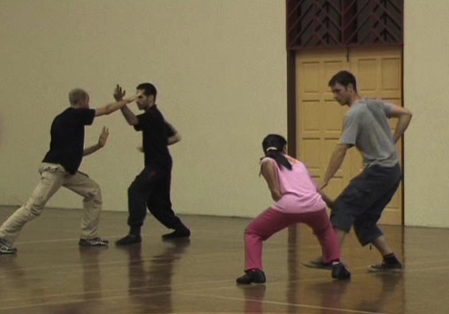 Xingyiquan, Hsing Yij Kungfu