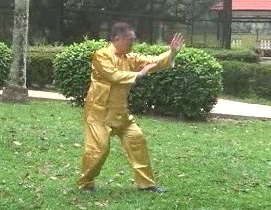 Xingyiquan, Hsing Yij Kungfu