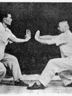 Chio-Li-Fatt Kungfu