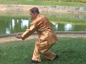 Xingyiquan, Hsing Yij Kungfu