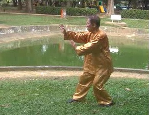 Xinguyiquan, or Hsing Yi Kungfu