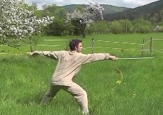 Wudang Sword