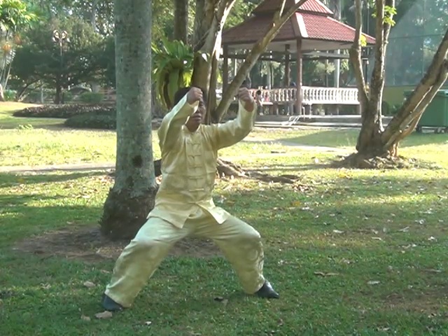 wudang taijiquan