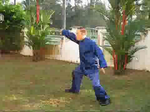 wudang taijiquan