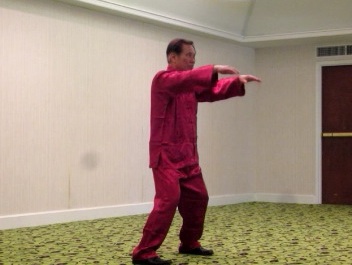 Wahnam Taijiquan, Tai Chi Chuan