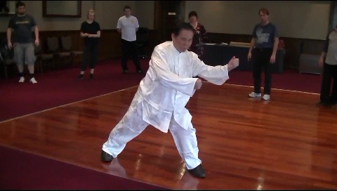 Wahnam Taijiquan, Tai Chi Chuan