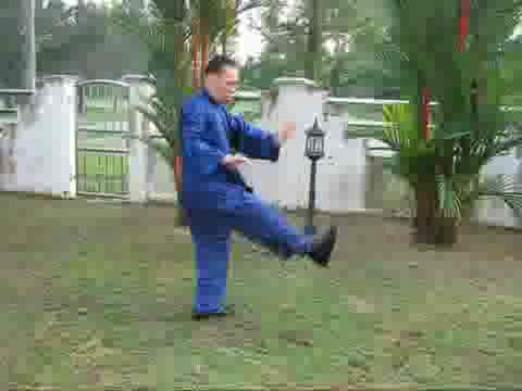 Wudang Taijiquan