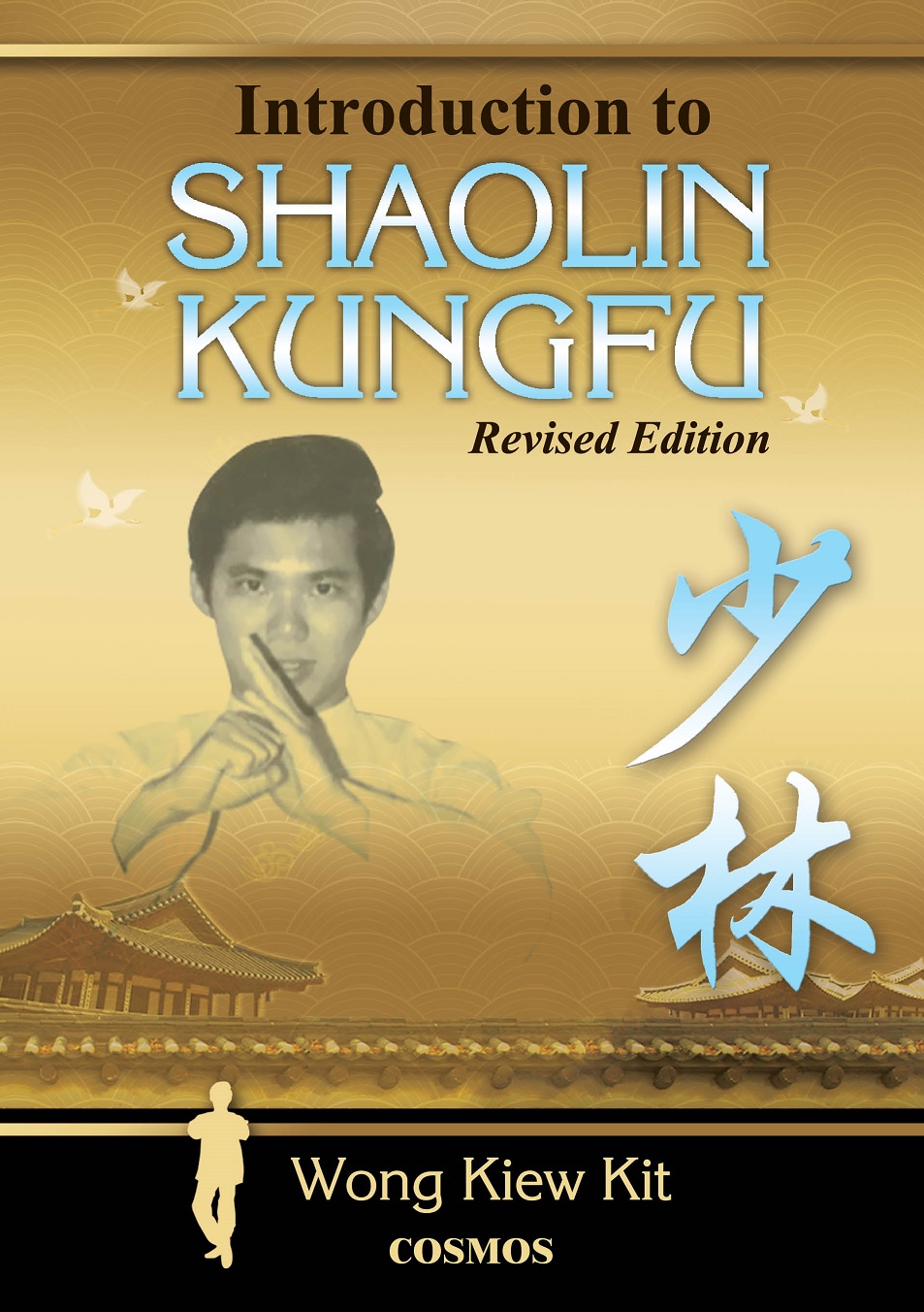 Introction to Shaolin Kung Fu