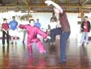 Wahnam Taijiquan, Tai Chi Chuan