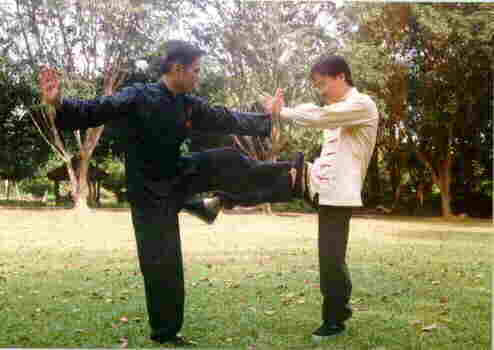 taijiquan combat application