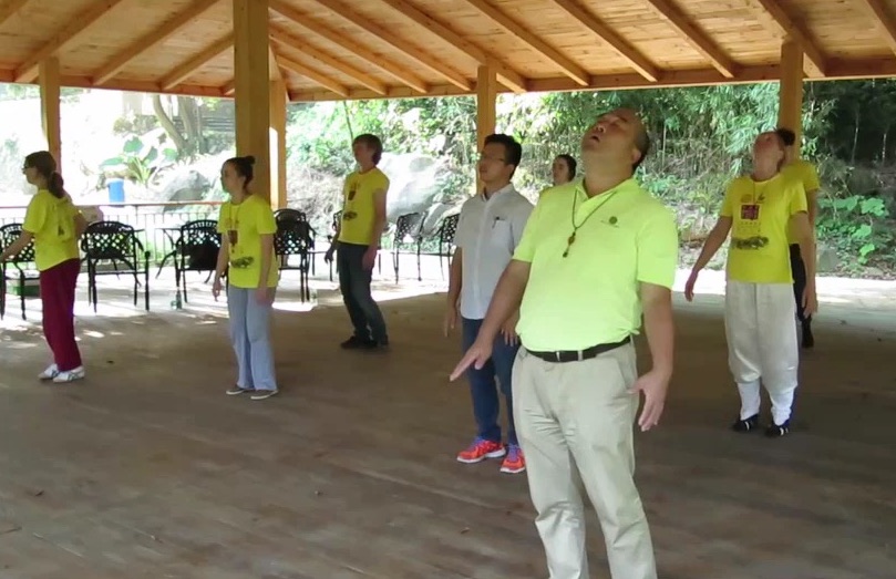 chi kung. qigong