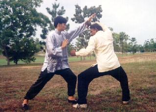 Kung Fu Sparring