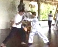 Taijiquan for Combat