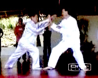 Taijiquan